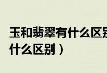 玉和翡翠有什么區(qū)別哪個價格高（玉和翡翠有什么區(qū)別）