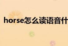 horse怎么讀語(yǔ)音什么意思（horse怎么讀）