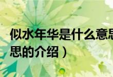 似水年華是什么意思（關(guān)于似水年華是什么意思的介紹）