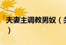 夫妻主調(diào)教男奴（關(guān)于夫妻主調(diào)教男奴的介紹）