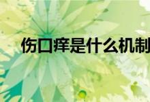 傷口癢是什么機(jī)制（傷口癢是什么原因）