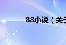88小說（關(guān)于88小說的介紹）