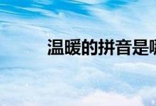 溫暖的拼音是哪個(gè)（溫暖的拼音）