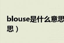 blouse是什么意思啊英語（blouse是什么意思）