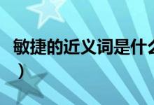 敏捷的近義詞是什么呢（敏捷的近義詞是什么）