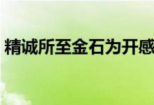 精誠(chéng)所至金石為開感悟（精誠(chéng)所至金石為開）
