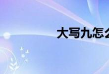 大寫(xiě)九怎么寫(xiě)（大寫(xiě)九）