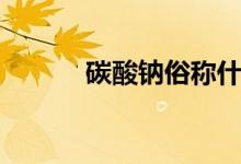 碳酸鈉俗稱什么（碳酸鈉俗稱）