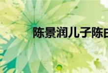 陳景潤兒子陳由偉（陳景潤簡介）