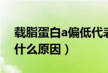 載脂蛋白a偏低代表什么（載脂蛋白a偏低是什么原因）