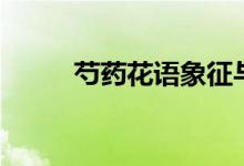 芍藥花語象征與寓意（芍藥花語）