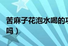 苦麻子花泡水喝的功效（苦麻子泡水能經(jīng)常喝嗎）