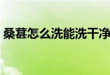 桑葚怎么洗能洗干凈（桑葚怎么洗才能干凈）