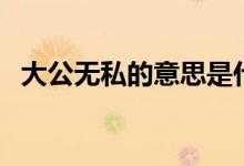 大公無私的意思是什么（大公無私的意思）