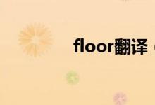 floor翻譯（floor怎么讀）
