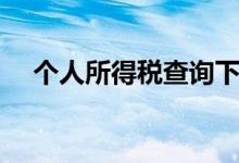 個人所得稅查詢下載（個人所得稅查詢）