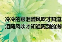 冷冷的眼淚隨風(fēng)吹才知道離別的滋味是什么歌詞（冷冷的眼淚隨風(fēng)吹才知道離別的滋味是什么歌）