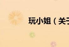 玩小姐（關(guān)于玩小姐的介紹）