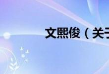文熙?。P(guān)于文熙俊的介紹）