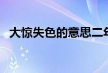 大驚失色的意思二年級(jí)（大驚失色的意思）