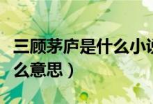 三顧茅廬是什么小說(shuō)中的情節(jié)（三顧茅廬是什么意思）