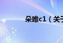 朵唯c1（關于朵唯c1的介紹）
