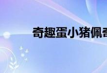 奇趣蛋小豬佩奇（奇趣蛋什么梗）