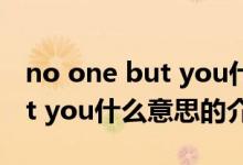no one but you什么意思（關于no one but you什么意思的介紹）