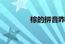 棕的拼音咋寫（棕的拼音）