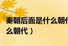 秦朝后面是什么朝代皇帝是誰(shuí)（秦朝后面是什么朝代）
