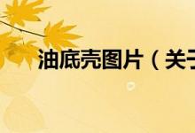 油底殼圖片（關(guān)于油底殼圖片的介紹）