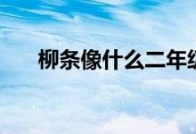 柳條像什么二年級(jí)答案（柳條像什么）