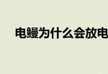 電鰻為什么會(huì)放電（電鰻為什么會(huì)放電）