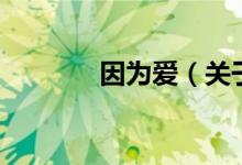 因為愛（關(guān)于因為愛的介紹）