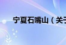 寧夏石嘴山（關(guān)于寧夏石嘴山的介紹）