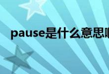 pause是什么意思?。╬ause是什么意思）