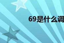 69是什么調(diào)（69什么意思）