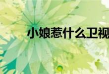 小娘惹什么衛(wèi)視（小娘惹什么意思）