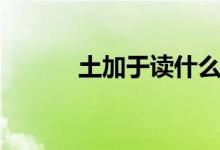 土加于讀什么（土加于讀什么）