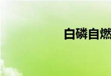 白磷自燃現(xiàn)象（白磷）