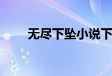 無盡下墜小說下載（無盡下墜小說）