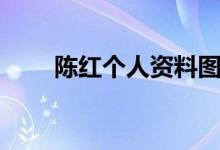 陳紅個人資料圖片（陳紅個人資料）