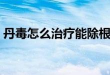 丹毒怎么治療能除根（丹毒最好的治療方法）