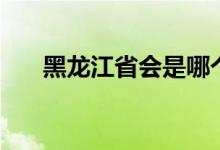 黑龍江省會是哪個城市（黑龍江省會）