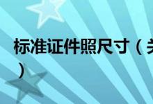 標準證件照尺寸（關(guān)于標準證件照尺寸的介紹）