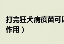 打完狂犬病疫苗可以喝茶嗎（狂犬病疫苗的副作用）
