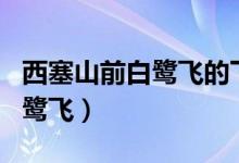 西塞山前白鷺飛的下一句是什么(西塞山前白鷺飛)