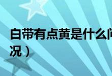 白帶有點(diǎn)黃是什么問題（白帶有點(diǎn)黃是什么情況）