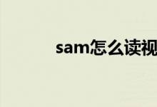 sam怎么讀視頻（sam怎么讀）