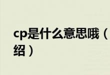 cp是什么意思哦（關(guān)于cp是什么意思哦的介紹）